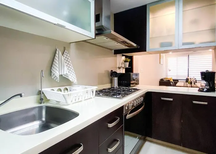 Departamento En La Condesa Roma Ciudad De Apartment Mexico City